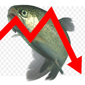 :bad_for_trout@ice.sophari.org:
