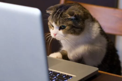 :browsing@void.rehab: